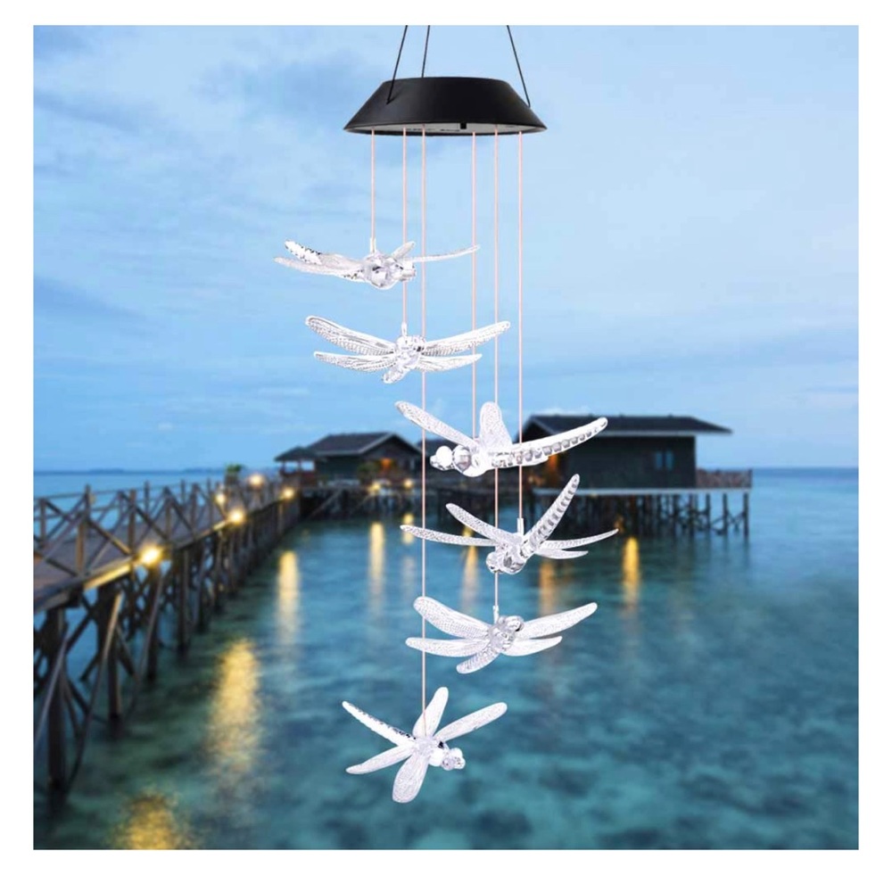Dragonfly solar light